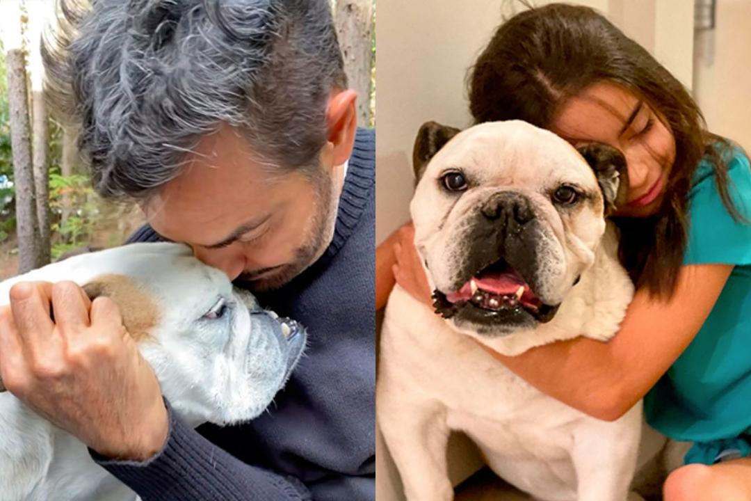 Eugenio Derbez comparte que murió su perrita Fiona; ‘el dolor es inmenso’