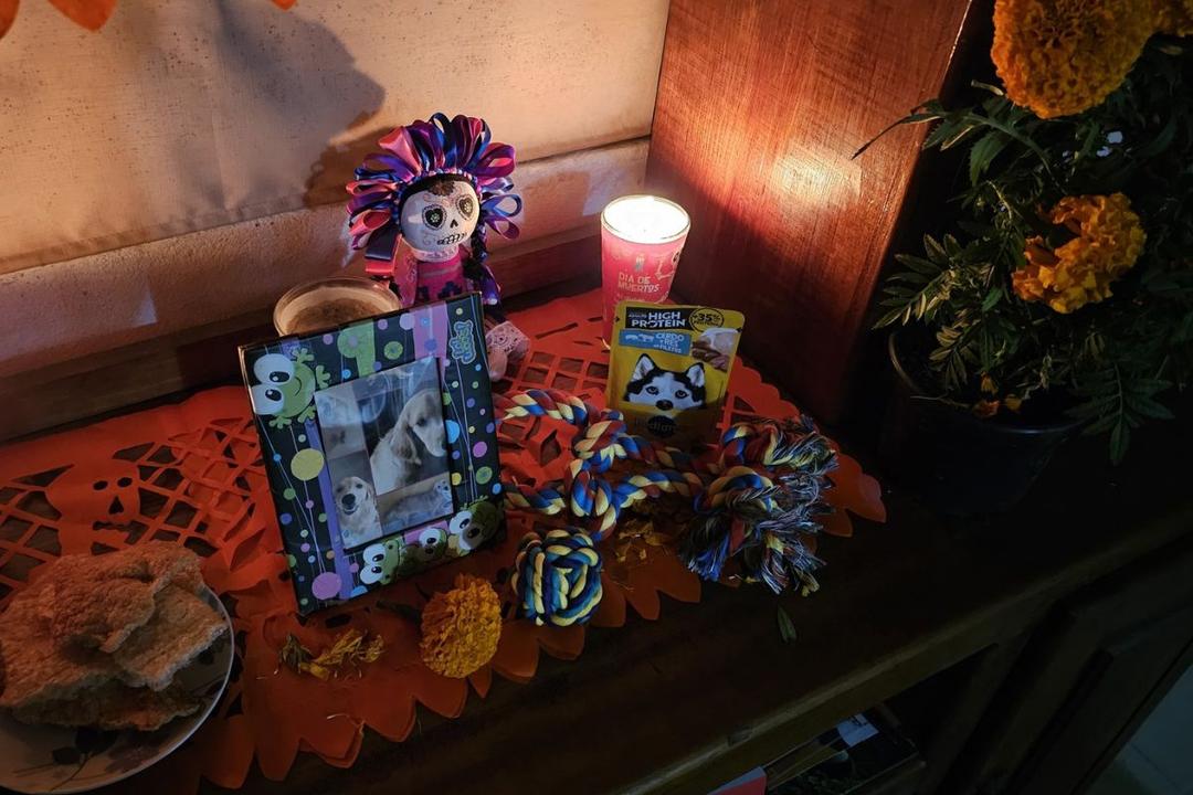 Día de Muertos: ¿cuándo llegan las almas de las mascotas a visitarnos?