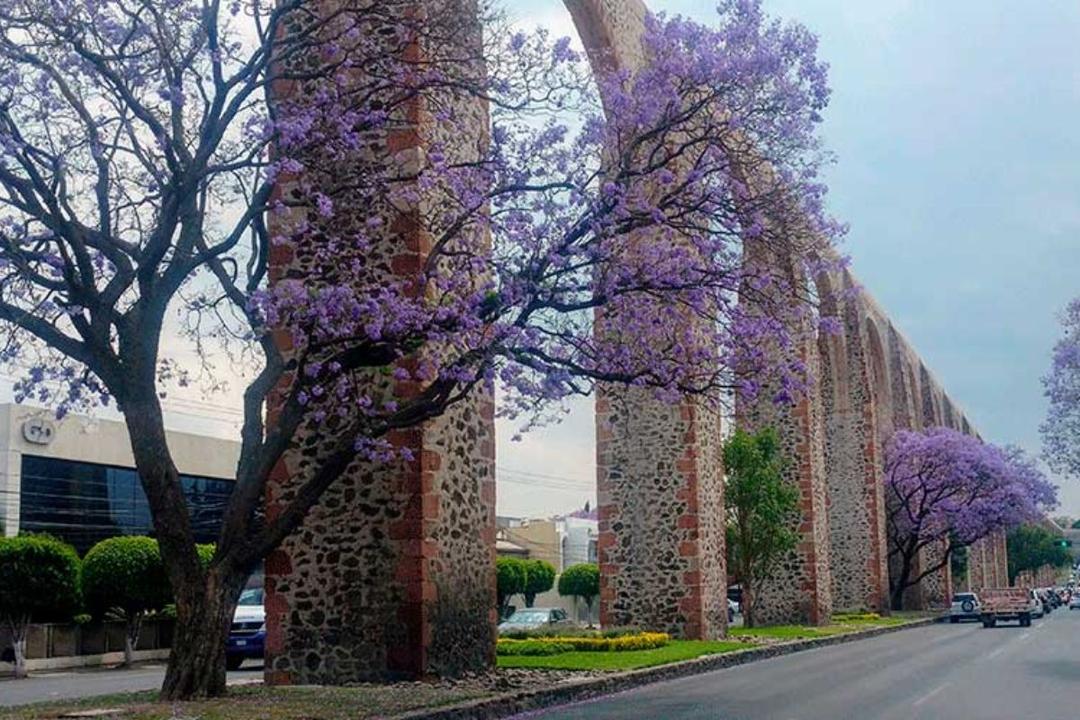 Clima en Querétaro, hoy 21 de noviembre