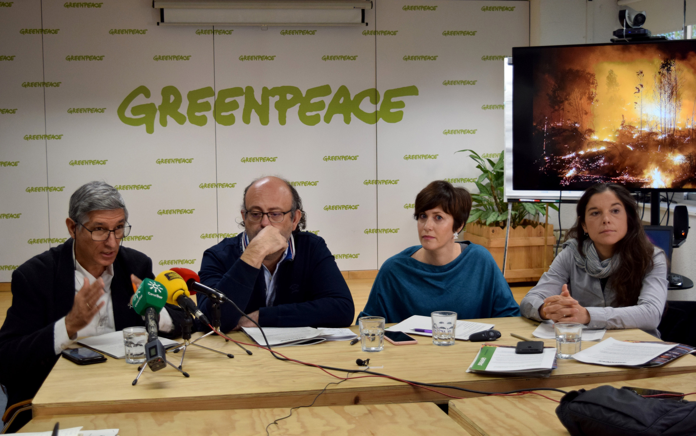 Greenpeace presentó su informe "Así nos cambia el cambio climático" . /Foto: Notimex