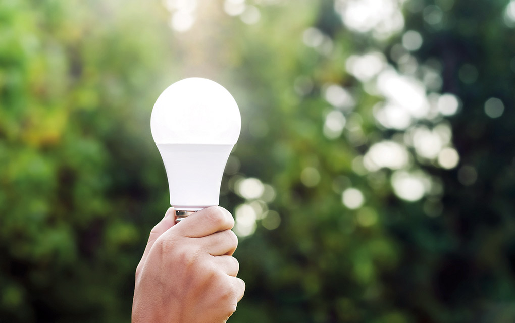 Los focos LED tienen mayor durabilidad que las lámparas tradicionales./ Foto: iStock.