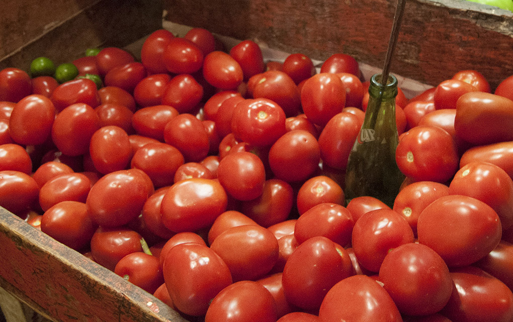 El tomate o jitomate es el tercer producto agrícola de exportación de México./Cuartoscuro