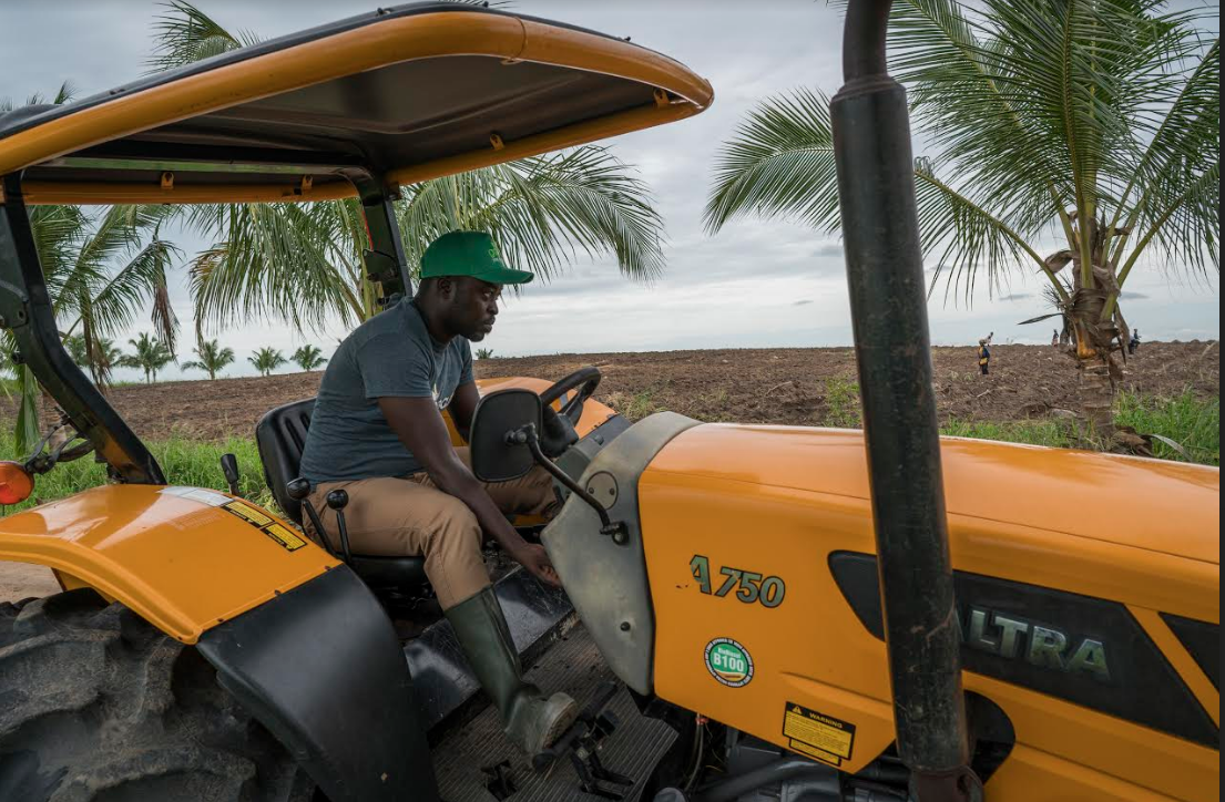 Milénials quieren ‘hacer que la agricultura sea atractiva’ en África. /Foto: NYT