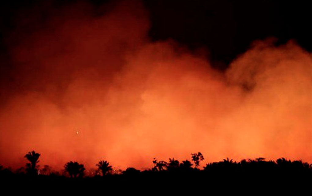 Los incendios han destruido más de 600 hectáreas en el departamento boliviano de Santa Cruz./Especial