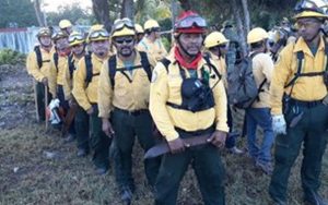 Controlan al 80% incendio en zona Uaimil de reserva Sian Ka´an