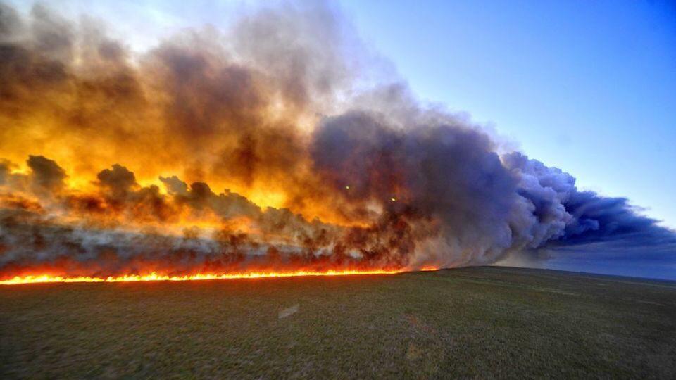 Los incendios en la Amazonía han destruido más de 600 hectáreas en el departamento boliviano de Santa Cruz, mientras que hasta el momento no se ha estimado la extensión de las zonas afectadas en Paraguay, en la frontera con Bolivia. Foto: Especial