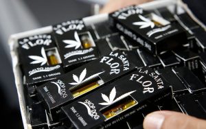 Generaría más de 70 mil empleos la industria legal de la cannabis: ELIGE / Foto: AP