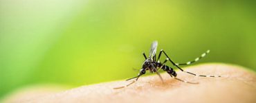 Nuevas amenazas sanitarias: Dengue, Chinkunguña y Zika