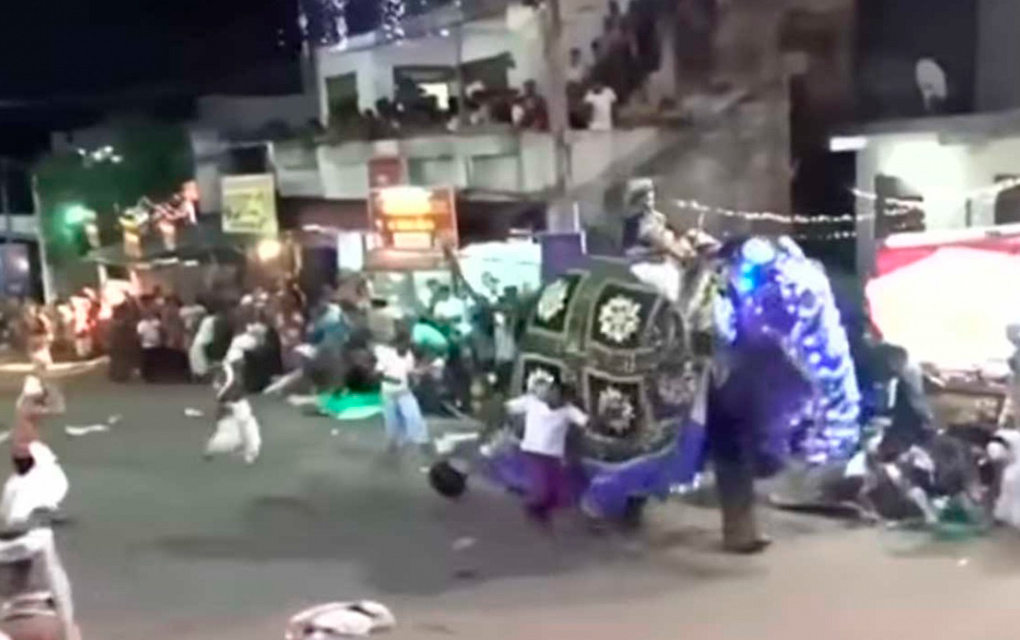 El elefante participaba en un desfile budista / Agencias