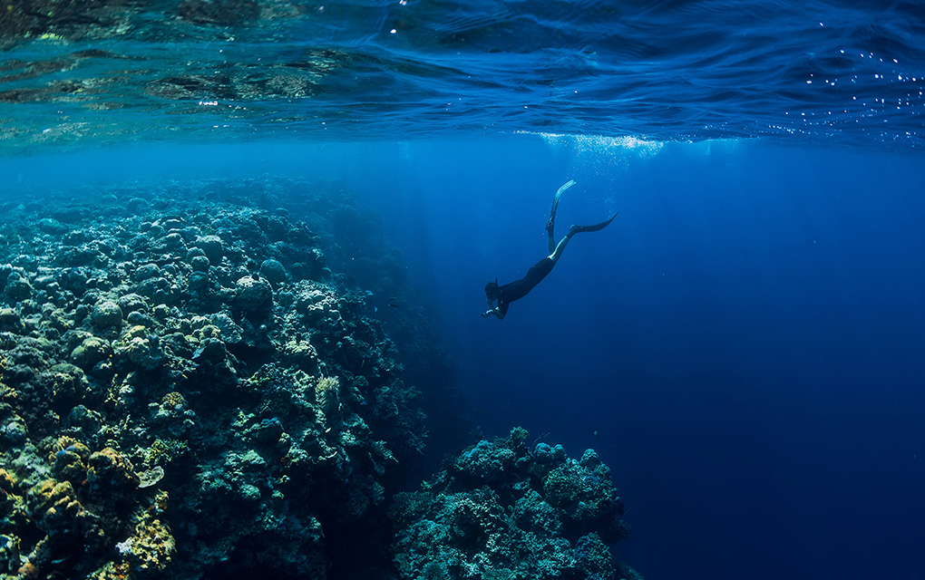 Océanos están absorbiendo enormes cantidades de dióxido de carbono / iStock 