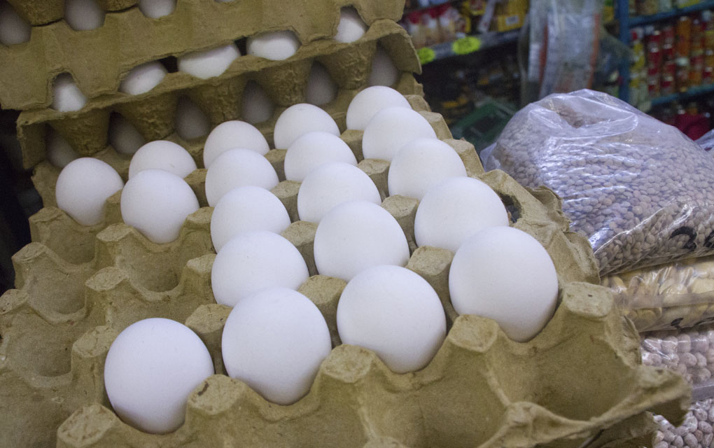 Además se sitúa como el cuarto productor de huevo a nivel mundial./Foto: Cuartoscuro