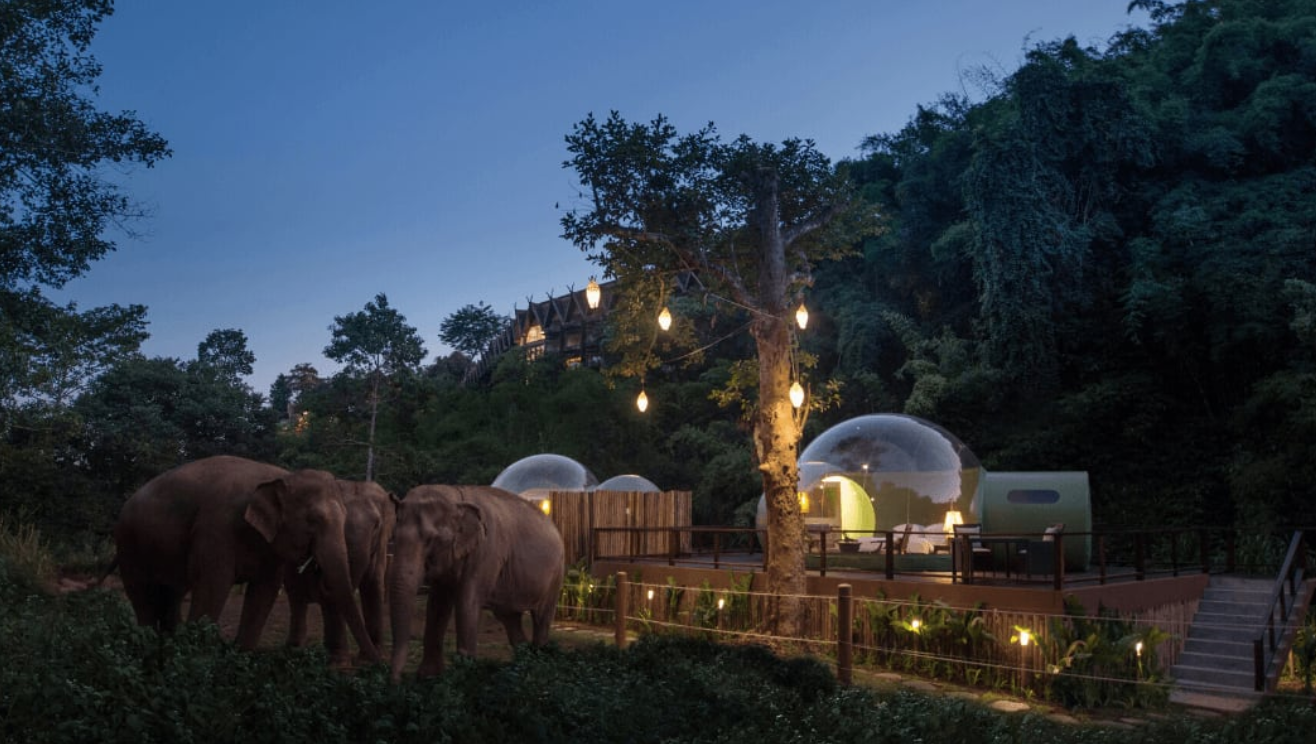 Anantara Golden Triangle Elephant Camp & Resort ofrece a sus clientes la oportunidad única de pasar la noche con los elefantes