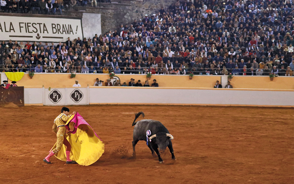 Congreso del estado definirá si tauromaquia continúa como patrimonio cultural en Querétaro / Foto: Isaac Muñoz