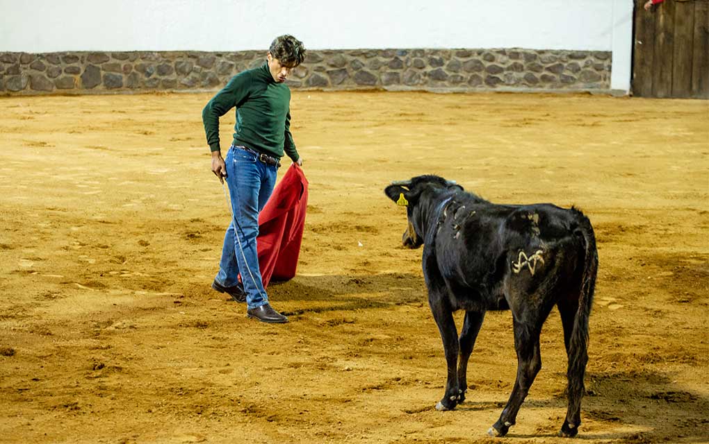 Fotos: Constanza Escamilla. El Salitre inaugura la primera tertulia taurina queretana