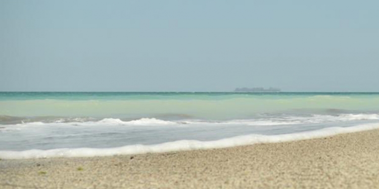 Así se ven las playas de Veracruz por la ausencia del ser humano