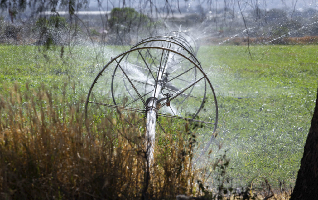 Gobierno rehabilitará sistemas hídricos para producción de alimentos. / Foto: Yarhim Jiménez