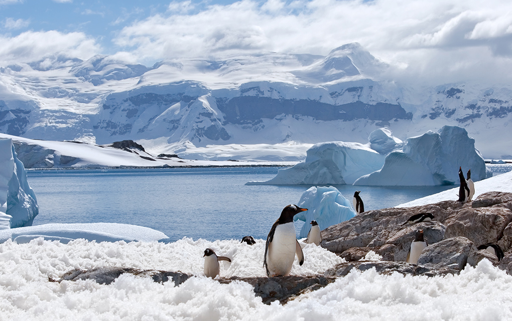 La Antártida, el continente que no ha registrado contagios de Covid-19