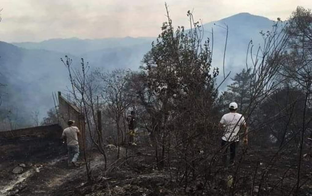 Combaten incendio en Pinal de Amoles; ya consumió 100 hectáreas/ Foto: Especial