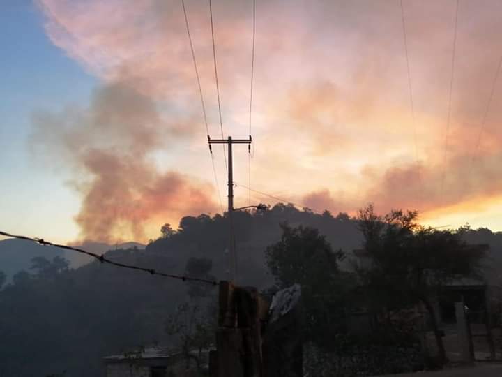 Incendios dañan 460 hectáreas de bosque