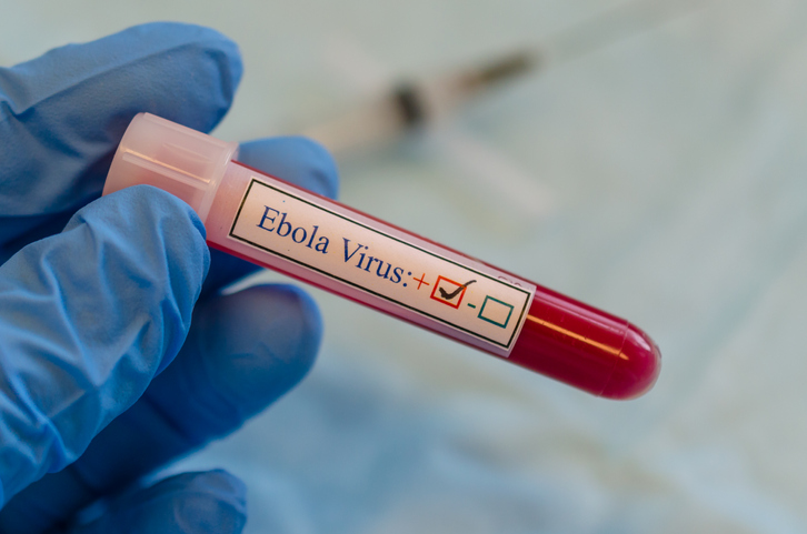 El Ébola otro virus que proviene de los murciélagos y azota en África