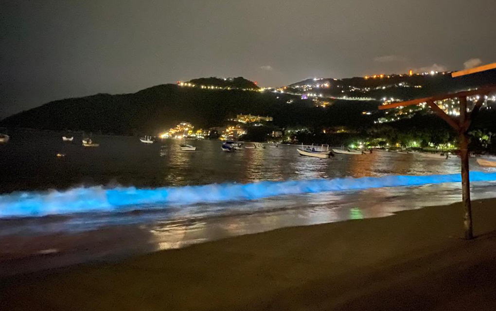 ¿Por qué se tiñeron de un azul brillante las playas de Acapulco?