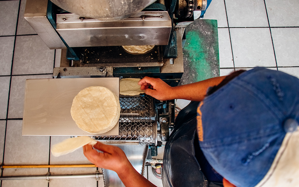 Solicite sus tortillas gratis: Los apoyos ante COVID-19