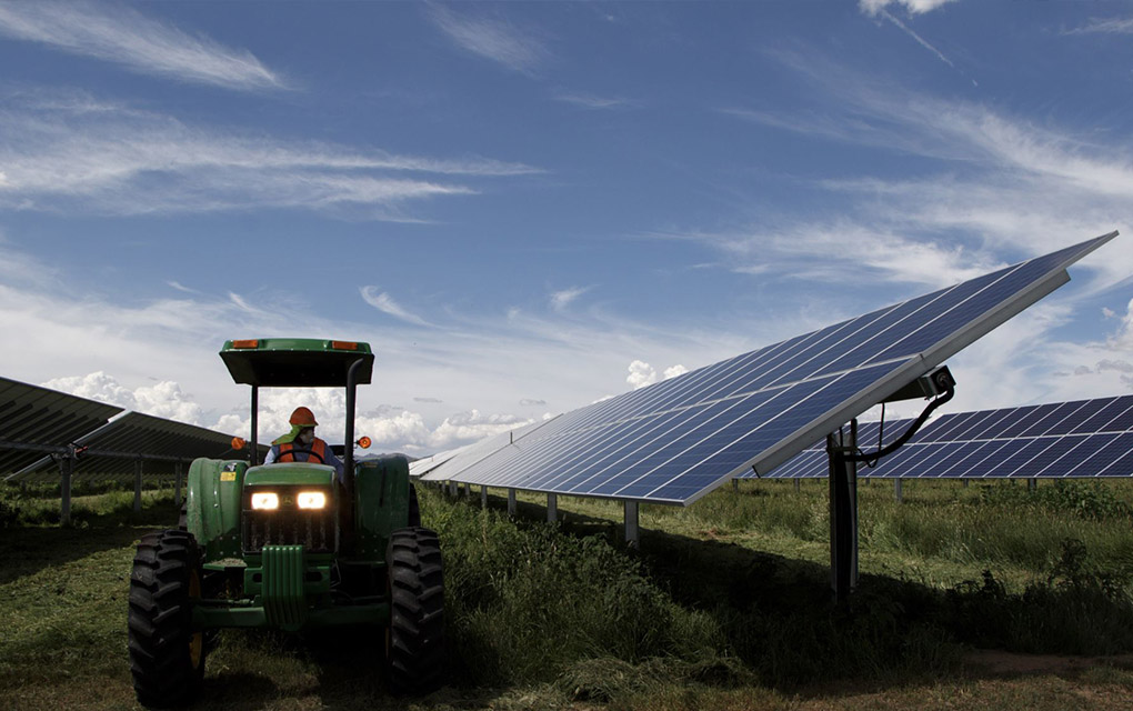 Cofece, criticada por AMLO, lanza 'contrataque' por energías renovables. / Foto: Cuartoscuro