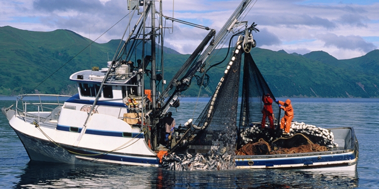 Arrojan ‘red cibernética’ a la pesca ilegal en el país