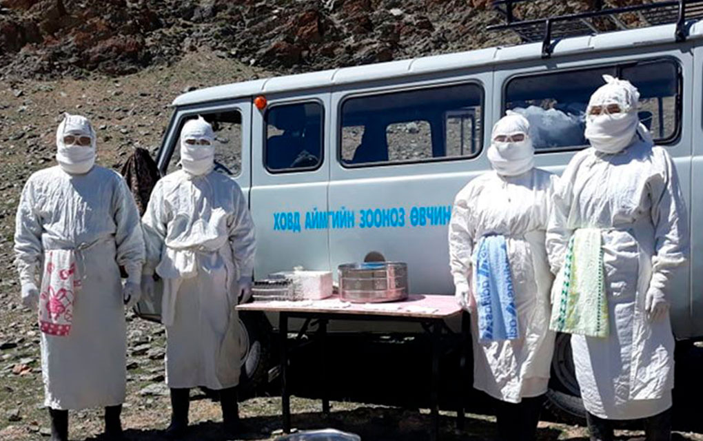 Detectan brote de Peste bubónica en Mongolia. Foto: Centro Nacional para las Enfermedades Zoonóticas