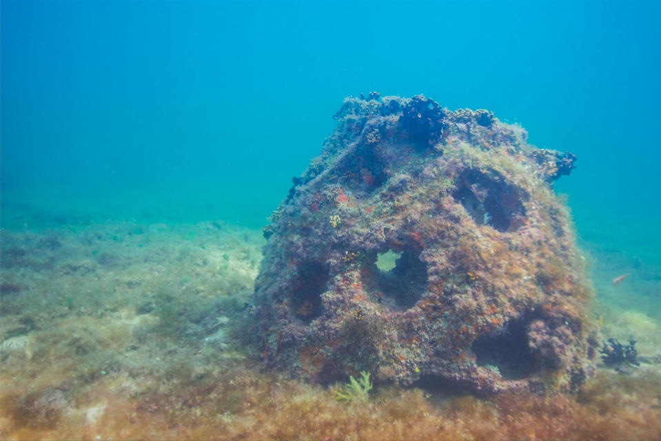 En el mundo, la fundación Reef Ball International ha sumergido más de un millón de estructuras, y Capillas Señoriales / Cortesía Museo Homenaje Aqua.
