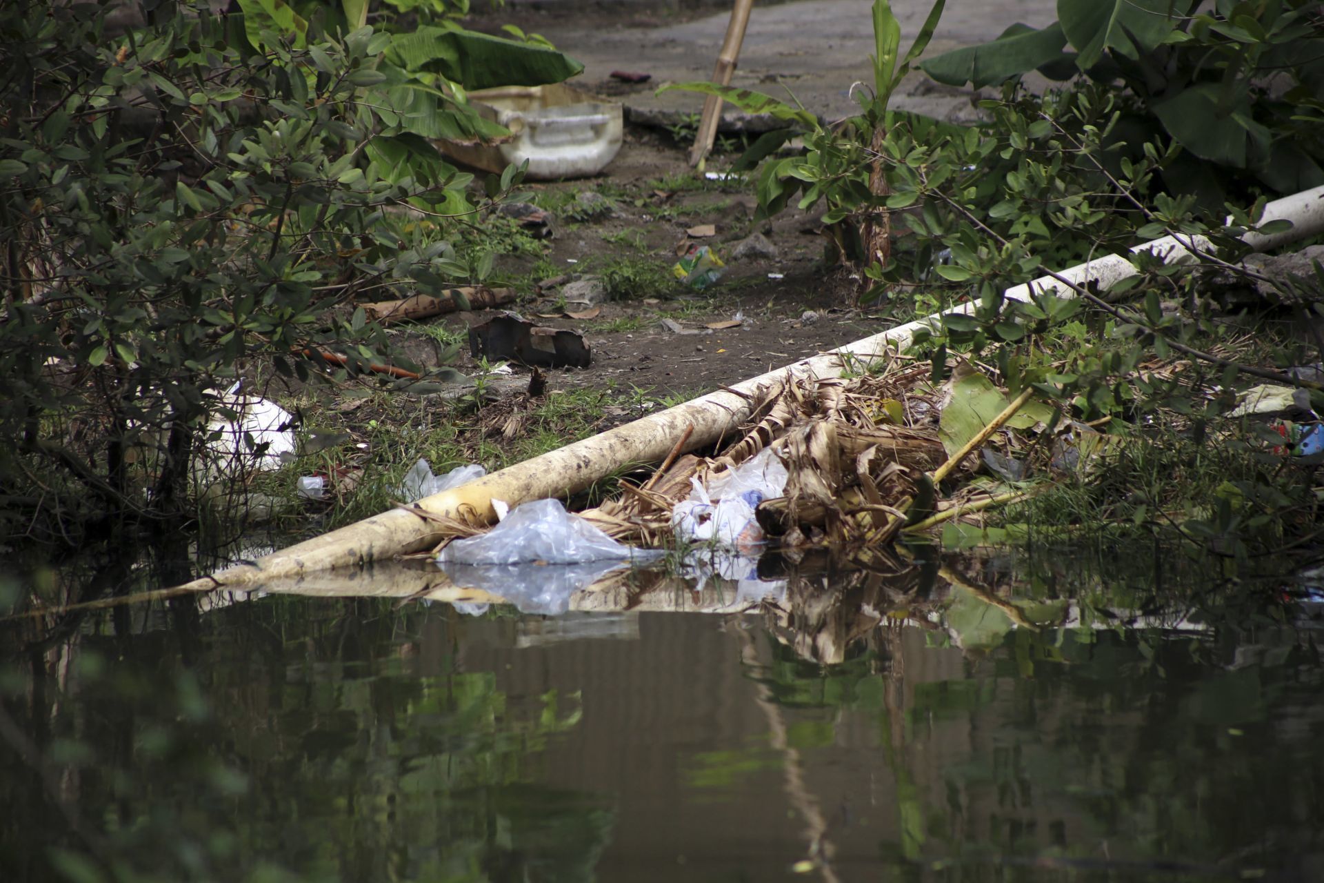 Identifican más de 120 descargas ilegales de drenaje / Foto: Cuartoscuro