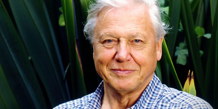 David Attenborough, de 94 años, sigue poniendo su granito de arena contra el cambio climático. (ESPECIAL)