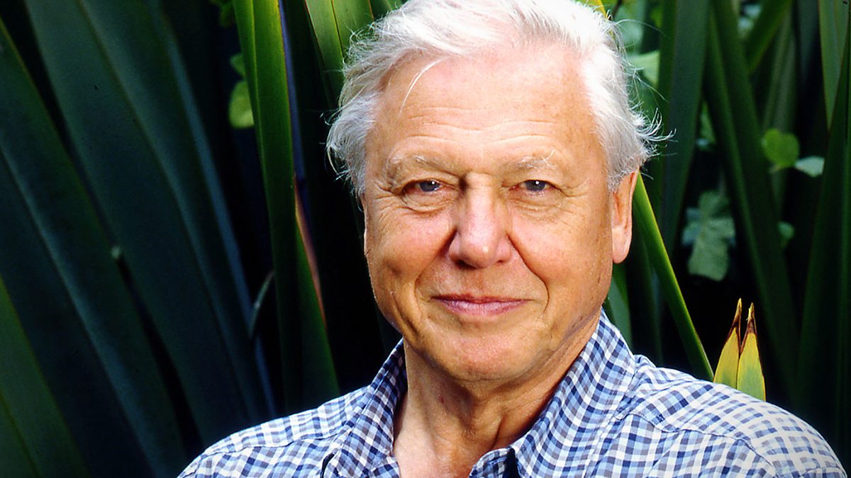 David Attenborough, de 94 años, sigue poniendo su granito de arena contra el cambio climático. (ESPECIAL)