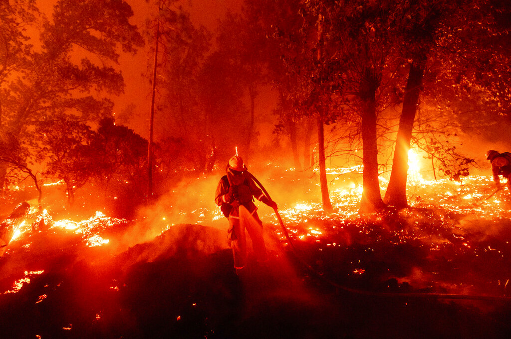 En el condado californiano de Madera, un bombero trata de mitigar un incendio forestal. (AP)