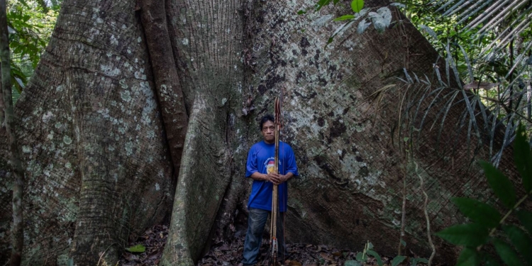El árbol abuela, lugar donde los indígenas sepultan a sus muertos