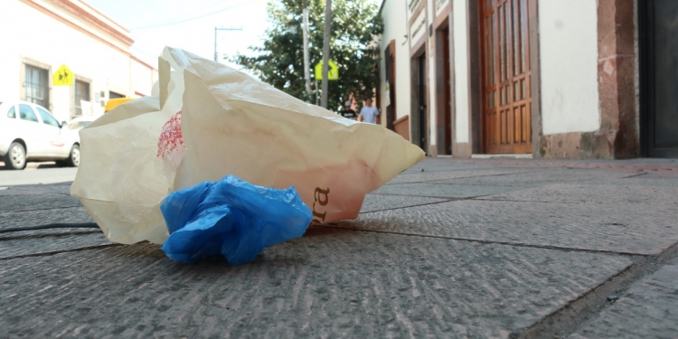 Municipio de Querétaro, ejemplo irrepetible en prohibir bolsas de plástico: ANIPAC