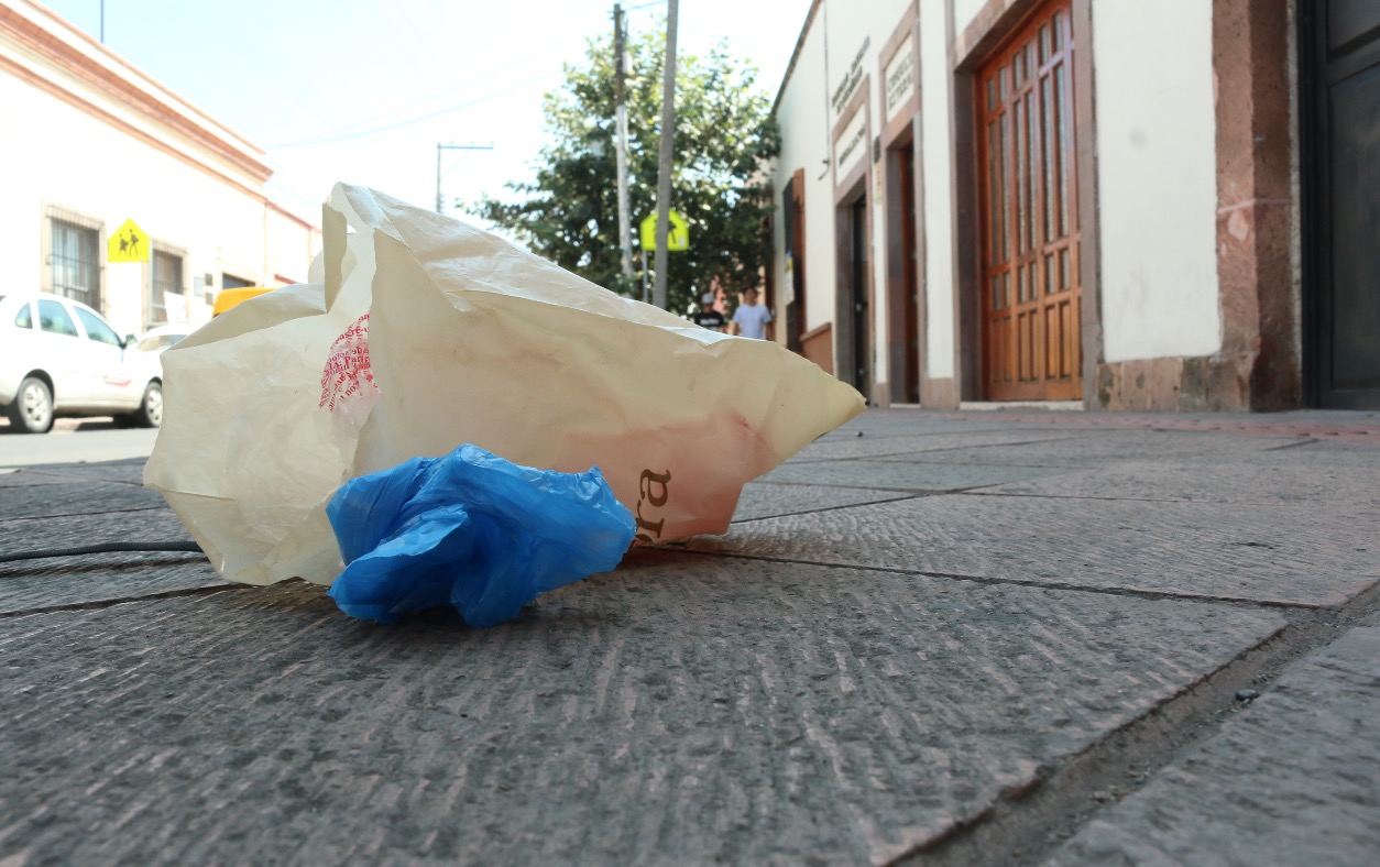 Municipio de Querétaro, ejemplo irrepetible en prohibir bolsas de plástico: ANIPAC / Foto: Archivo