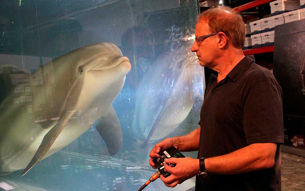 Delfín robot podría reemplazar animales en cautiverio