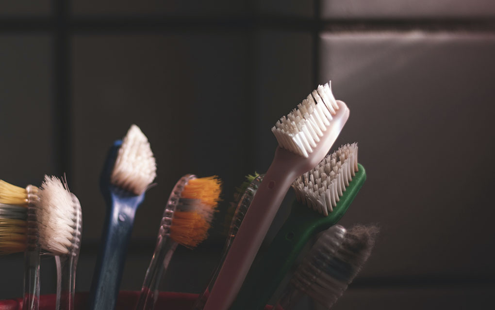 Está probado científicamente que los microorganismos pueden alojarse en las cerdas del cepillo dental. / Foto: Unsplash