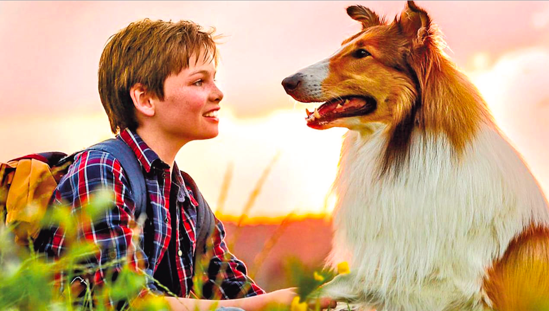 La historia de Lassie fue ideada por el autor británico Eric Knight en el cuento Lassie: vuelve a casa, en 1938 / Cortesía: Cinépolis Distribución.