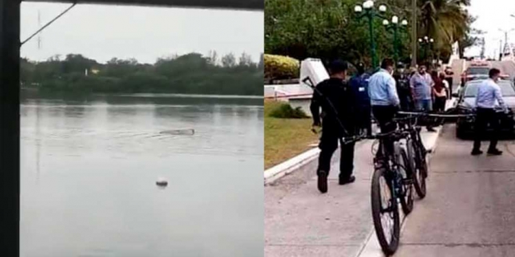 Registran el ataque de un cocodrilo a bañista en Tampico