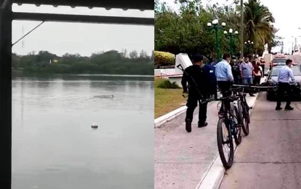 Registran el ataque de un cocodrilo a bañista en Tampico