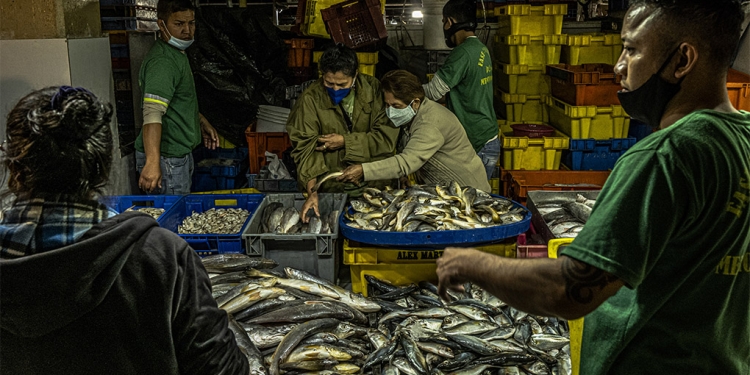 Clientes compran pescado en el mercado de Guayaquil, Ecuador. NYT