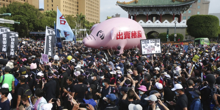 Miles de personas protestan contra la importación de carne de puerco estadounidense, algunas de ellas portando un cerdo inflable con la leyenda "Traición a los criadores de cerdos". (AP)
