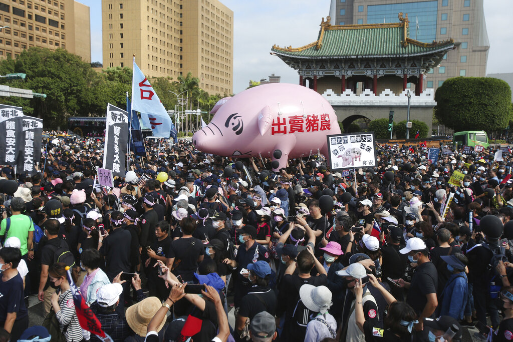 Miles de personas protestan contra la importación de carne de puerco estadounidense, algunas de ellas portando un cerdo inflable con la leyenda "Traición a los criadores de cerdos". (AP)