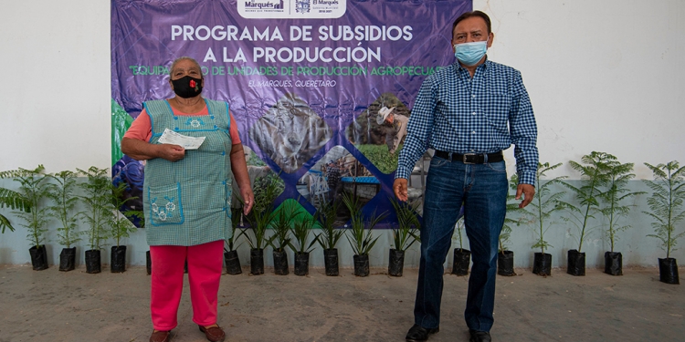El Marqués entrega apoyos al sector agropecuario /Foto: Especial