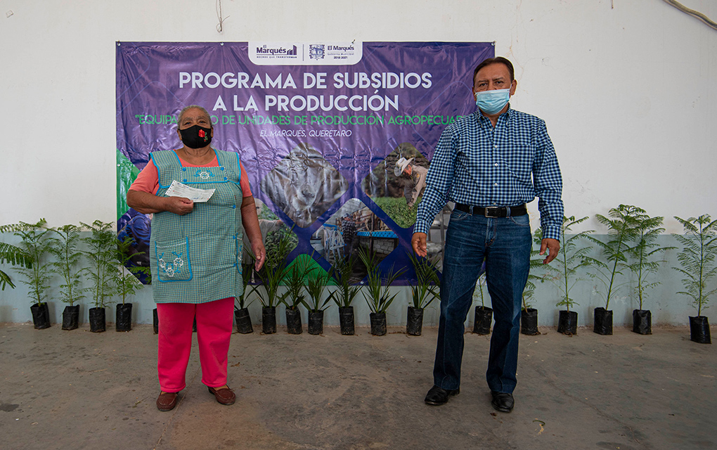 El Marqués entrega apoyos al sector agropecuario /Foto: Especial