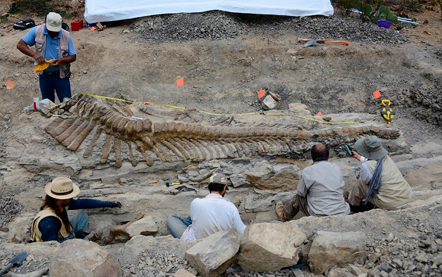 En Paleontología destaca el occidente mexicano, señalan expertos