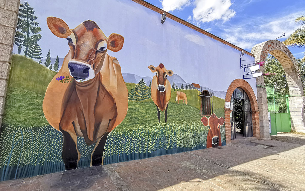 El resultado del trabajo de la pintora puede apreciarse en la fachada del Rancho Flor de Alfalfa. / Foto: Yarhim Jiménez