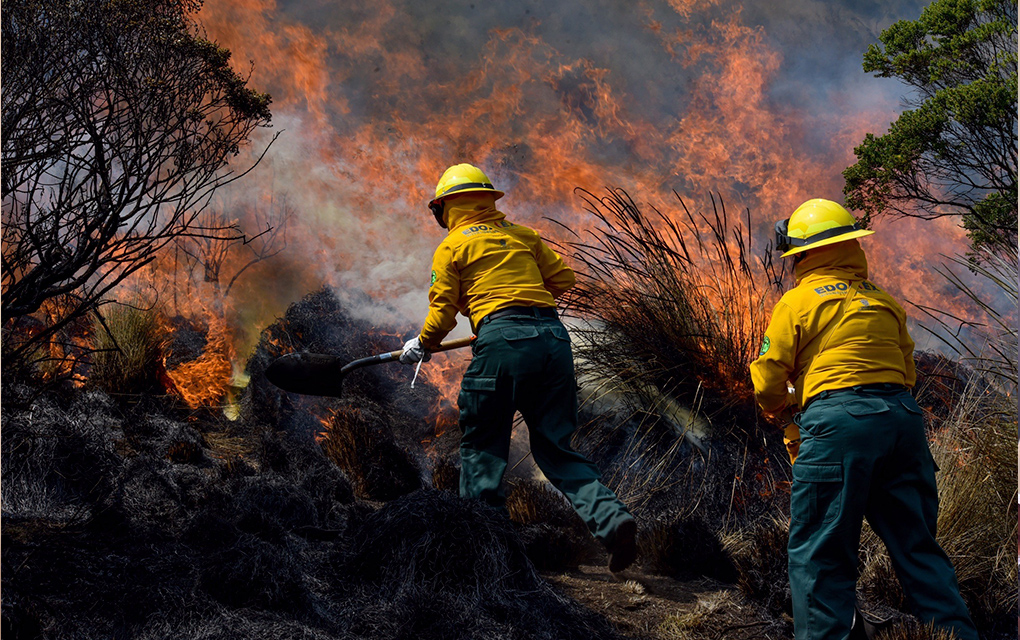 En 2020, incendios dañan 488 hectáreas en el Estado/Foto: Cuartoscuro
